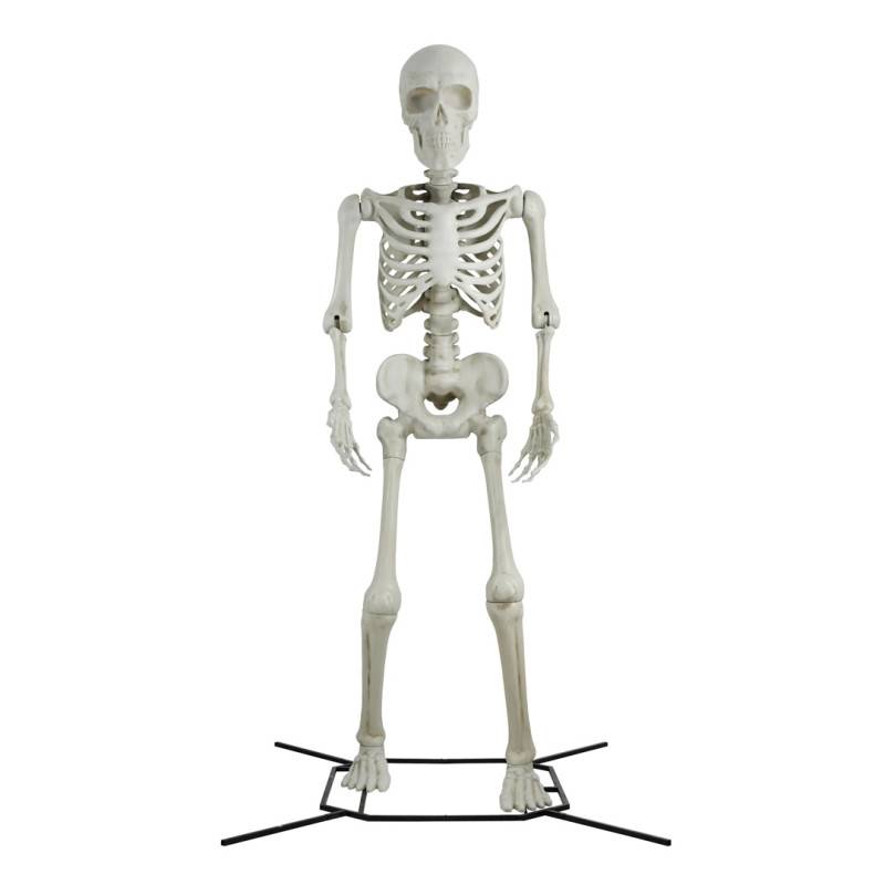 Walmart Discounts 10-Foot Posable Skeleton to 4—Customers Refer to It as ‘Top Fall Decoration’!